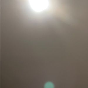 Meet your Posher, Benjamin